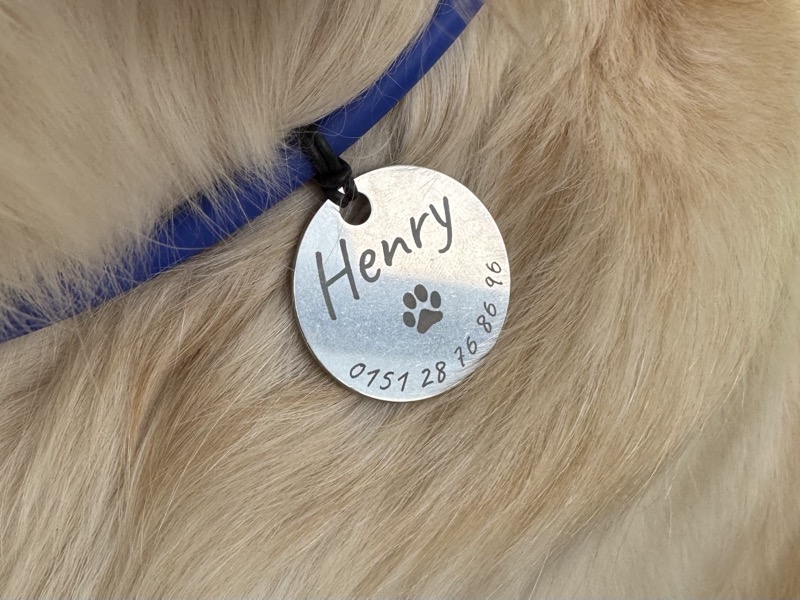 Hundemarke Fidelis